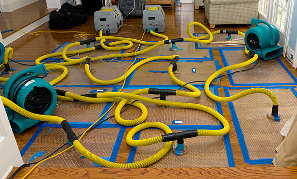 Professional Sewage Cleanup technician working in Freistatt, MO